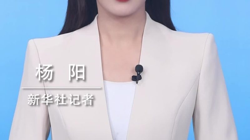 国产ERP软件：助力企业数字化转型的重要伙伴**